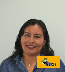 Lic. Hilda García Álvarez - CICCH - Colegio de Ingenieros de Chiapas