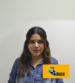 Lic. Guadalupe del Carmen Gutiérrez Nangullasmú - CICCH - Colegio de Ingenieros de Chiapas