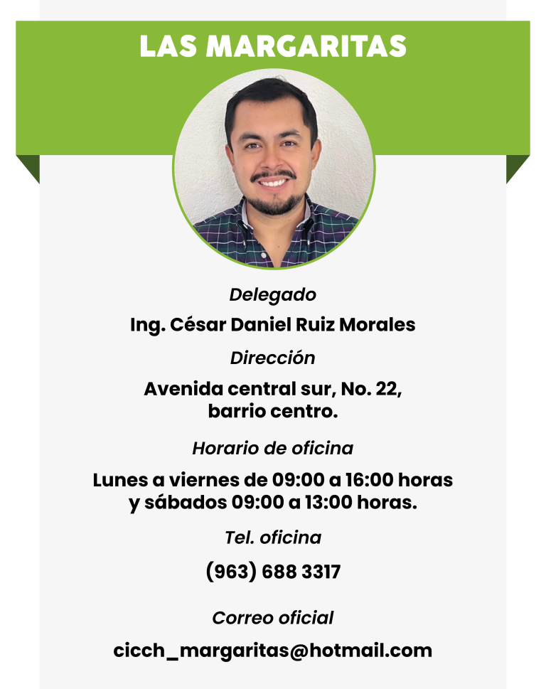 DIRECTORIO DELEGACIONES 2026-08